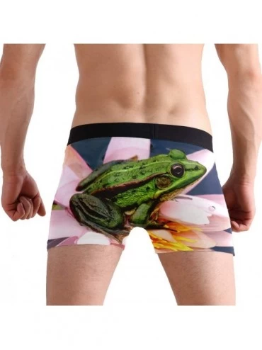 Boxer Briefs Mens No Ride-up Underwear Farm Animal Cows & Bulls Boxer Briefs - Frogs Insect Lotus Flowers - C918XAWWNZN $12.81