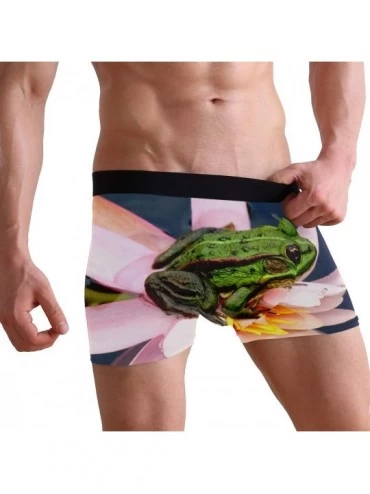 Boxer Briefs Mens No Ride-up Underwear Farm Animal Cows & Bulls Boxer Briefs - Frogs Insect Lotus Flowers - C918XAWWNZN $12.81