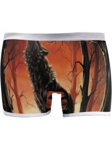 Panties Boyshort Panties Women's Elephant in Dry Tree Soft Underwear Briefs - Full Moon Wolf - CU18SYS26YU $41.14