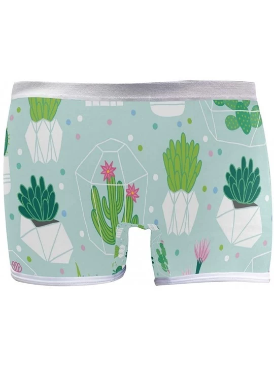 Panties Boyshort Panties Women's Succulent Plants and Cactus Garden Soft Underwear Briefs - Succulents and Cactuses in Pots -...